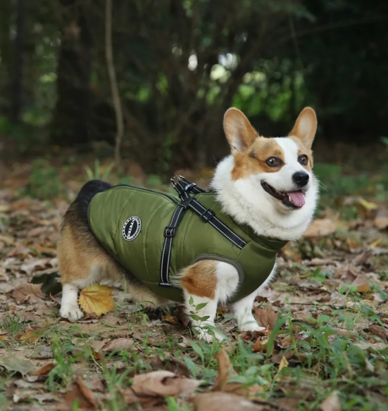 Koera talvejope külgeõmmeldud traksidega, roheline (VPETBR-D57)