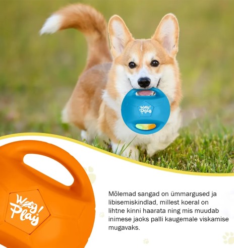 Mänguasi koerale, vastupidav pall kahe sangaga,...