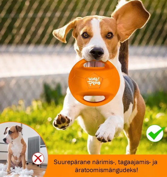 Mänguasi koerale, vastupidav pall kahe sangaga, ø 14 cm, sinine (AFP - Wag! Play)
