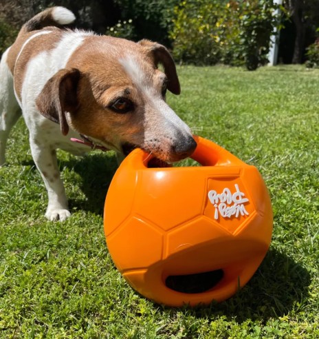 Mänguasi koerale, vastupidav pall kahe sangaga,...