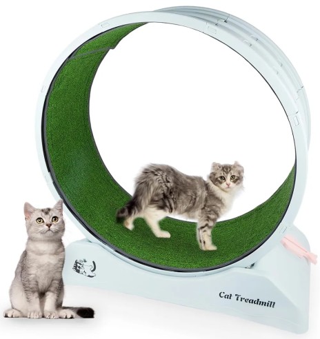 Kassi jooksuratas (Pawise)