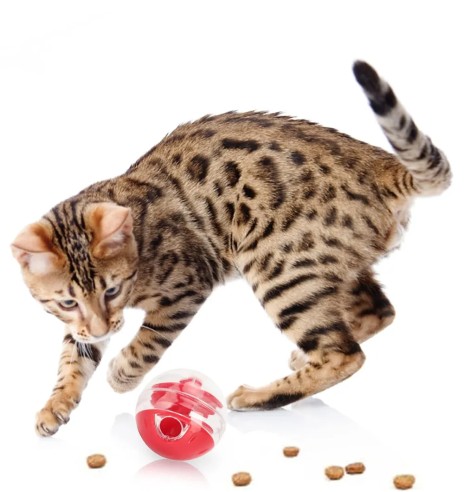 Maiusepall kassile Snack Ball (Pawise)