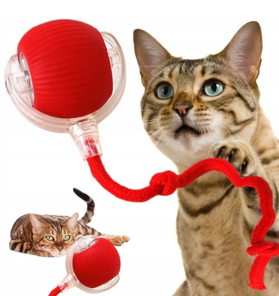 Iseveerev, LED-valgusega pall kassile Magic Flash Ball (Pawise)