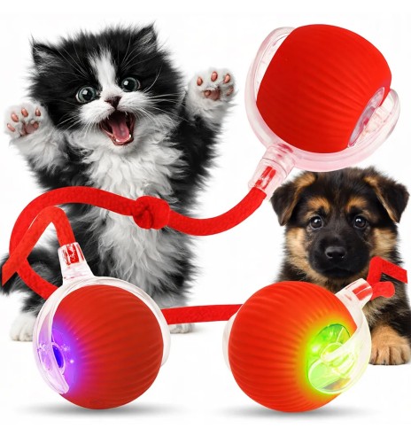 Iseveerev, LED-valgusega pall kassile Magic...