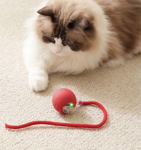 Iseveerev, LED-valgusega pall kassile Magic...