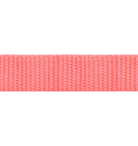 Kassi traksid ja jalutusrihm, erk virsikuroosa,...