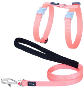 Kassi traksid ja jalutusrihm, punane Classic Red (Red Dingo)–Traksid ja jalutusrihmad–Red Dingo–Valgekihv