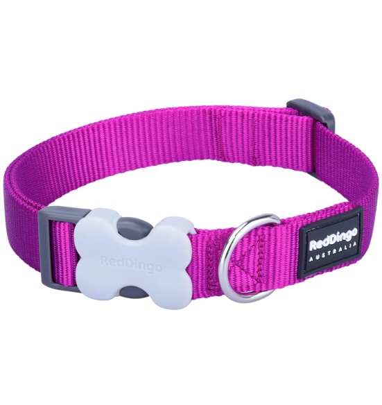Kaelarihm koerale, fuksia-lilla Classic (Red Dingo)