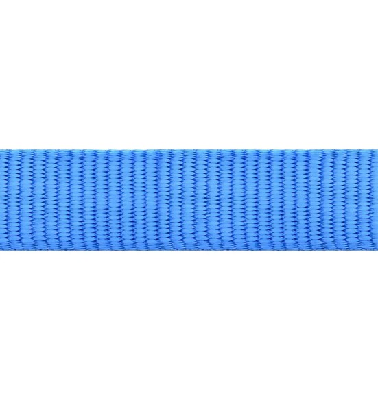 Koera jalutusrihm nailonrihm Classic, 1.1–1.8 m, elektrisinine (Red Dingo)