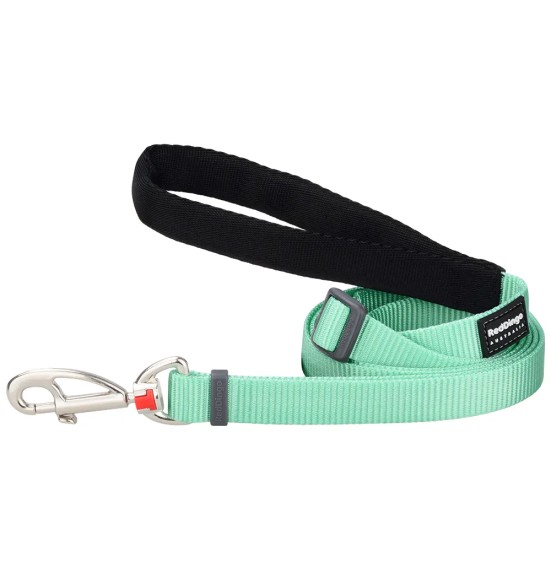 Koera jalutusrihm nailonrihm Classic, 1.1–1.8 m, pastelne roheline (Red Dingo)