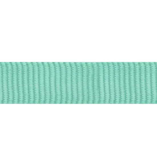 Koera jalutusrihm nailonrihm Classic, 1.1–1.8 m, pastelne roheline (Red Dingo)