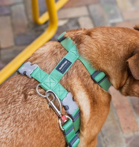 Koera jalutusrihm nailonrihm Classic, 1.1–1.8...