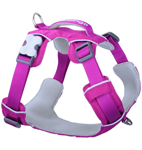 Traksid koerale SPORT, fuksia-lilla (Red Dingo)