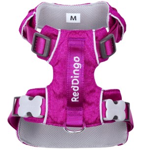 Traksid koerale SPORT, fuksia-lilla (Red Dingo) 2