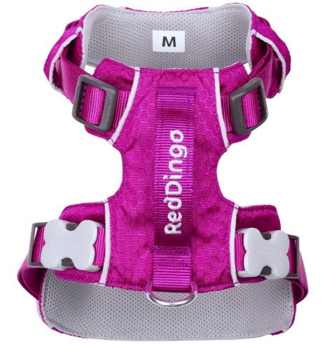 Traksid koerale SPORT, fuksia-lilla (Red Dingo)