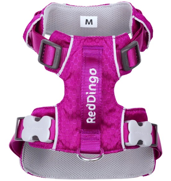 Traksid koerale SPORT, fuksia-lilla (Red Dingo)