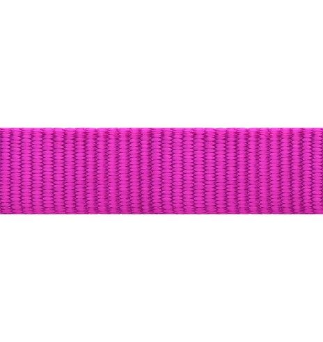 Traksid koerale SPORT, fuksia-lilla (Red Dingo)