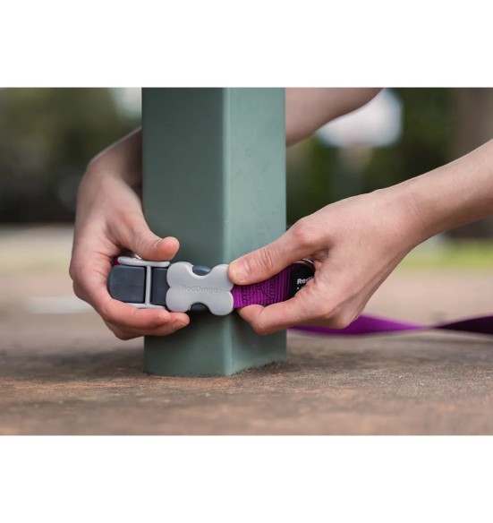 Multifunktsionaalne koera jalutusrihm, pastelne lilla SuperLead (Red Dingo)