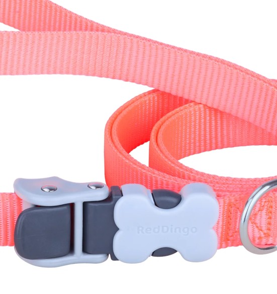 Multifunktsionaalne koera jalutusrihm, erk virsikuroosa SuperLead (Red Dingo)