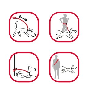 Multifunktsionaalne koera jalutusrihm, must SuperLead (Red Dingo)–Mitmefunktsioonilised–Red Dingo–Valgekihv 2
