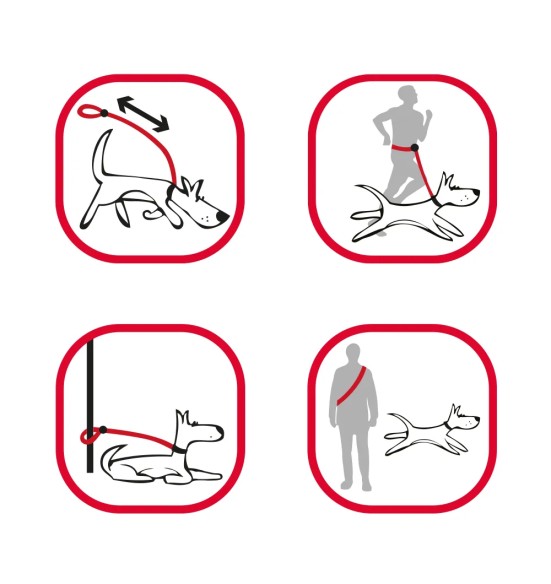 Koera jalutusrihm multifunktsionaalne, anti-shock Running SuperLead, pastelne roheline (Red Dingo)