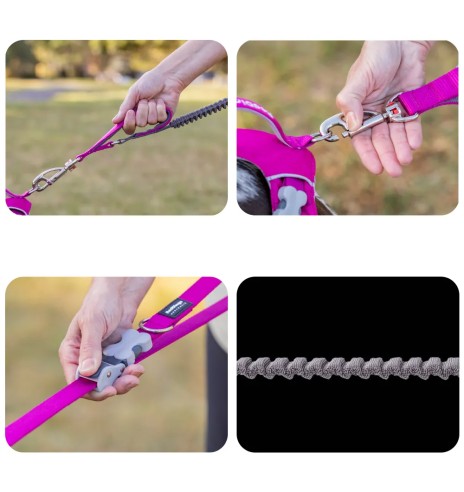 Koera jalutusrihm multifunktsionaalne,...