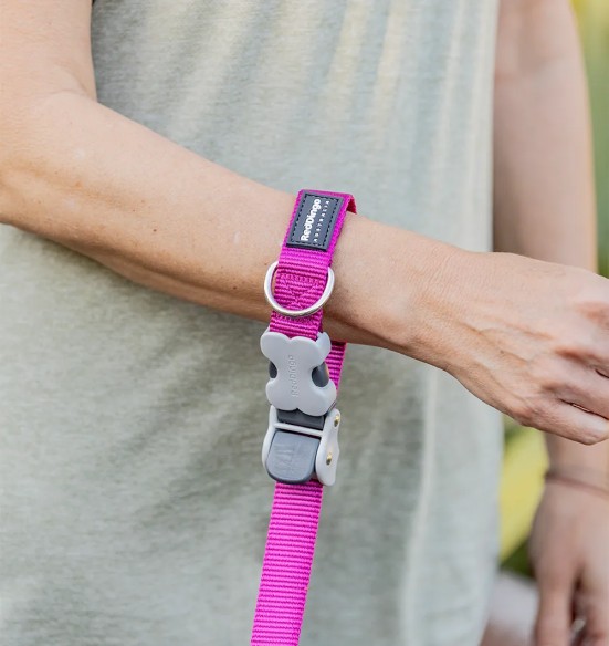 Koera jalutusrihm multifunktsionaalne, anti-shock Running SuperLead, pastelne roheline (Red Dingo)