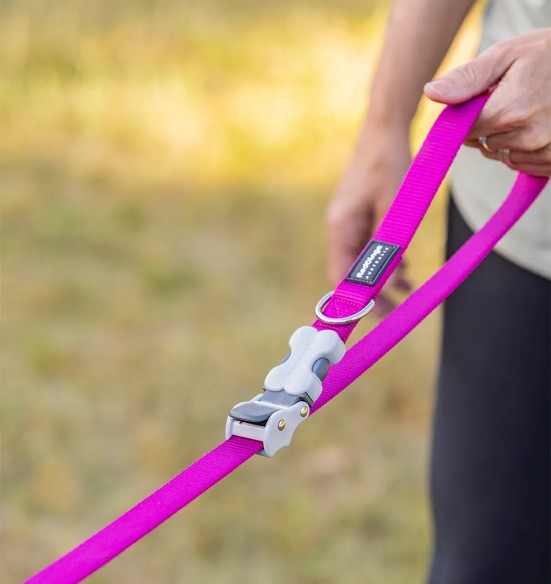 Koera jalutusrihm multifunktsionaalne, anti-shock Running SuperLead, pastelne roheline (Red Dingo)