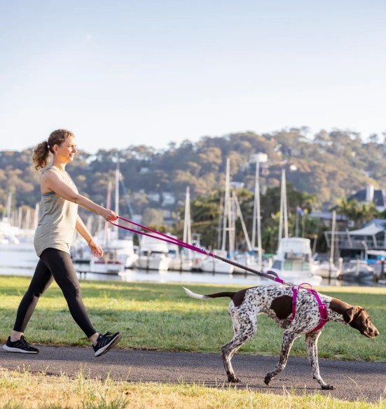 Koera jalutusrihm multifunktsionaalne, anti-shock Running SuperLead, pastelne roheline (Red Dingo)