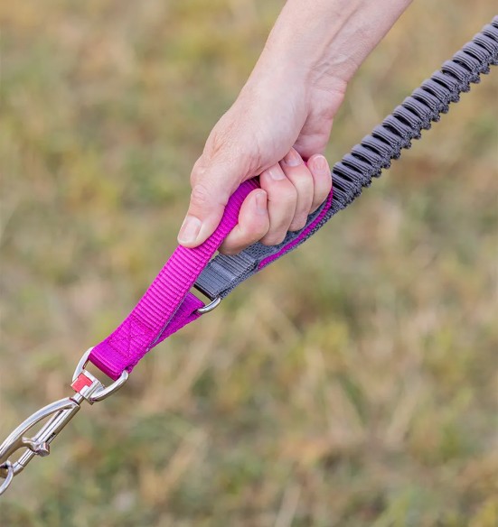 Koera jalutusrihm multifunktsionaalne, anti-shock Running SuperLead, pastelne roheline (Red Dingo)