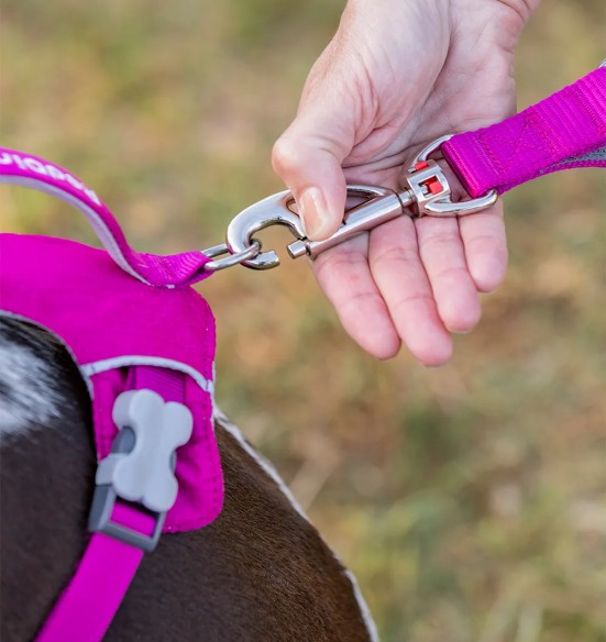 Koera jalutusrihm multifunktsionaalne, anti-shock Running SuperLead, pastelne roheline (Red Dingo)