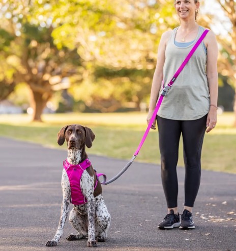 Koera jalutusrihm multifunktsionaalne,...