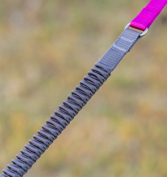 Koera jalutusrihm multifunktsionaalne, anti-shock Running SuperLead, pastelne roheline (Red Dingo)