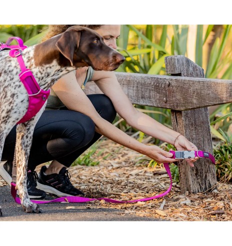 Поводок для собак многофункциональный и...