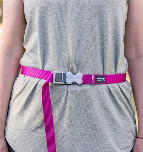 Koera jalutusrihm multifunktsionaalne, anti-shock Running SuperLead, pastelne roheline (Red Dingo)