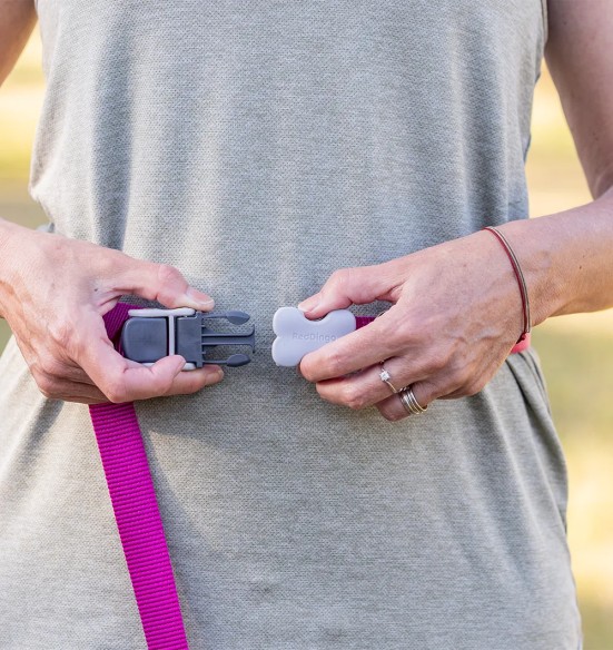 Koera jalutusrihm multifunktsionaalne, anti-shock Running SuperLead, pastelne roheline (Red Dingo)