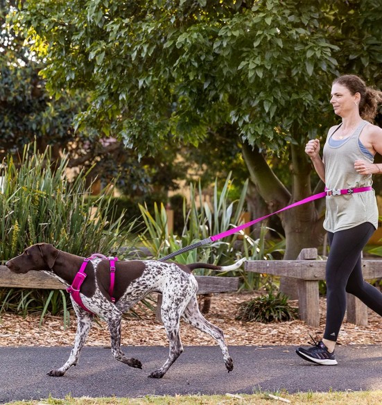 Koera jalutusrihm multifunktsionaalne, anti-shock Running SuperLead, pastelne roheline (Red Dingo)