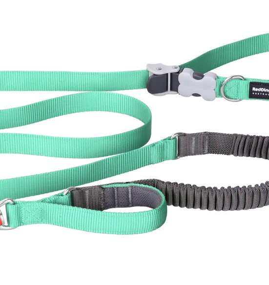 Koera jalutusrihm multifunktsionaalne, anti-shock Running SuperLead, pastelne roheline (Red Dingo)