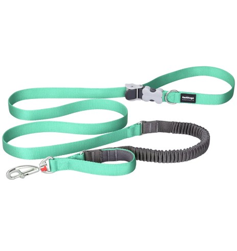 Koera jalutusrihm multifunktsionaalne,...