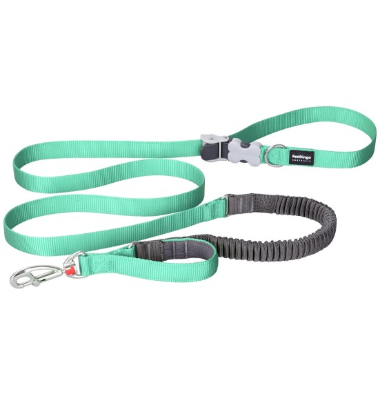 Koera jalutusrihm multifunktsionaalne, anti-shock Running SuperLead, pastelne roheline (Red Dingo)