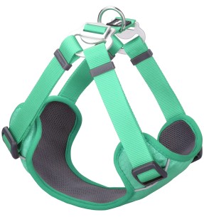 Шлейка для собак Padded Step-In, пастельно-зелёная (Red...