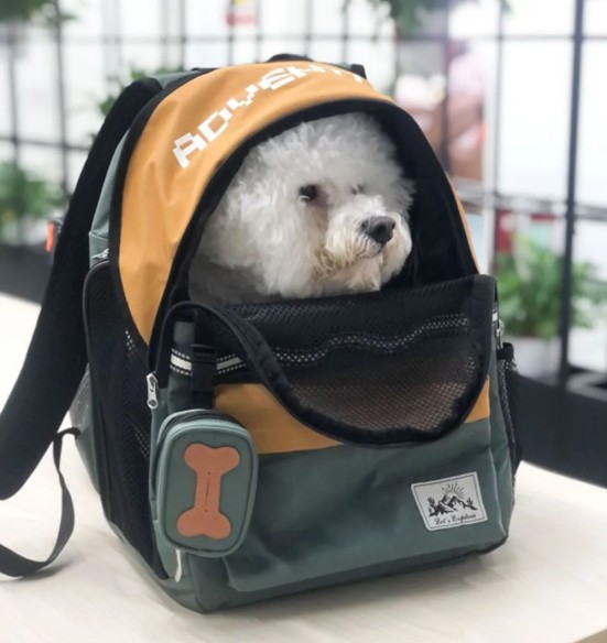 Koera seljakott, transpordikott koera kandmiseks