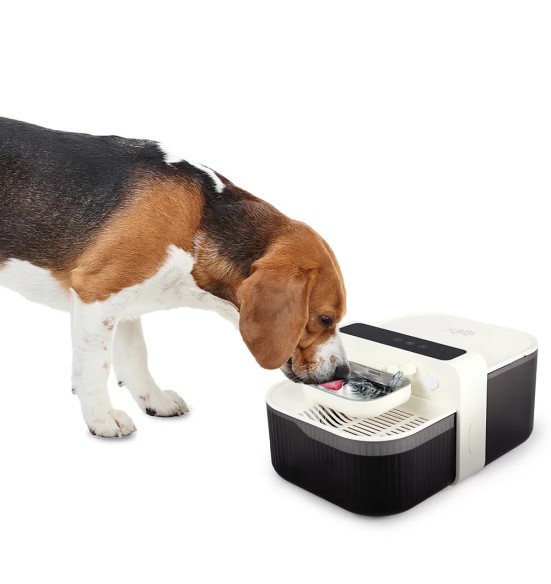 Värske vee joogiautomaat akutoitega, filtrivaba, 3,5 L (AFP - Lifestyle 4 Pets)