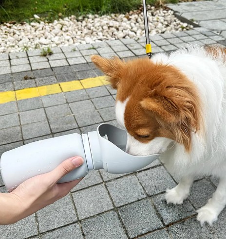 Koera joogipudel silikoonist, kokkupandav 550...