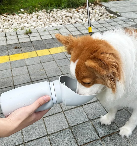 Силиконовая складная поилка-бутылка для собаки, 550 мл (Pawise)