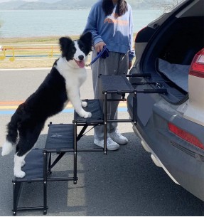 Koera trepp kergest vahtplastist, beež (Pawise)–Trepid–Pawise–Valgekihv 2