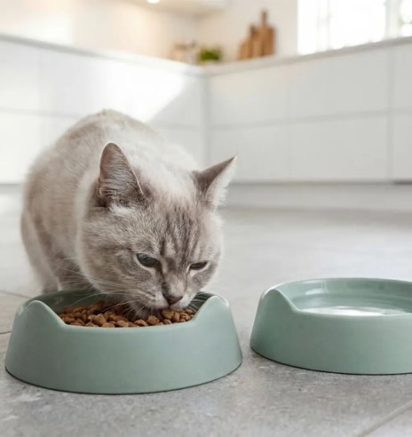 Kauss kassile Love it Cat Bowl (Pawise)