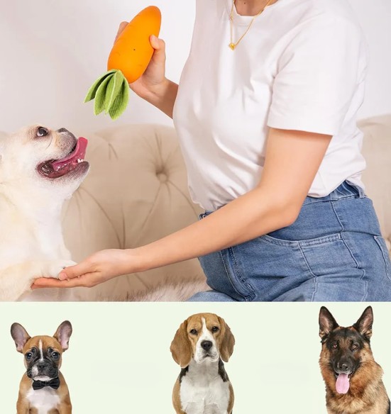 Mänguasi koerale, naturaalsest kummist porgand My Carrot (Pawise)