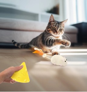 Коврик для сбора наполнителя Clean Paws, пластиковый (AFP - Go Fresh) – Liivakasti matid – AFP - All For Paws – Valgekihv 2