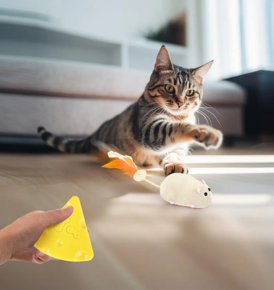 Kassi mänguasi, puldiga juhitav hiir Purr-suit Mouse (AFP - Modern Cat)
